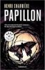 Picture of Papillon